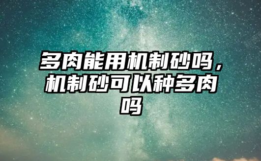 多肉能用機制砂嗎，機制砂可以種多肉嗎