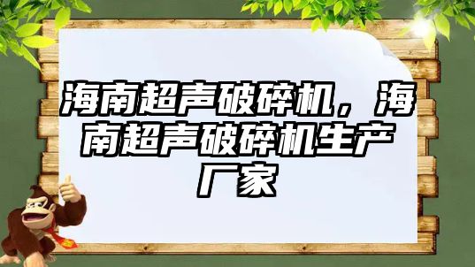 海南超聲破碎機，海南超聲破碎機生產(chǎn)廠家