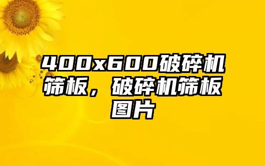 400x600破碎機篩板，破碎機篩板圖片