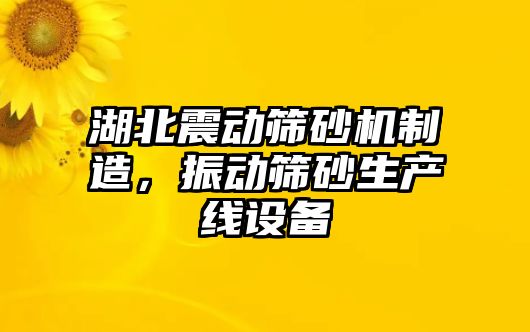 湖北震動篩砂機制造，振動篩砂生產線設備