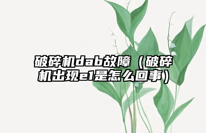 破碎機dab故障（破碎機出現e1是怎么回事）