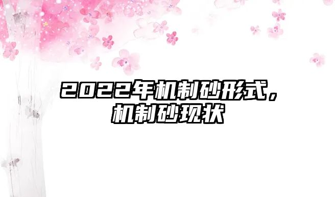 2022年機制砂形式，機制砂現狀