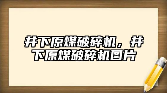 井下原煤破碎機，井下原煤破碎機圖片