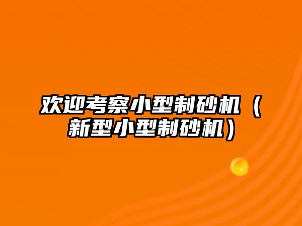 歡迎考察小型制砂機（新型小型制砂機）