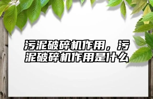 污泥破碎機作用，污泥破碎機作用是什么