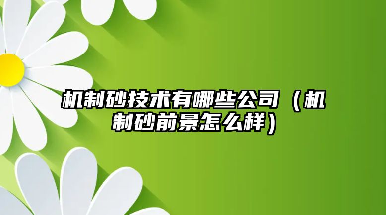 機制砂技術有哪些公司（機制砂前景怎么樣）