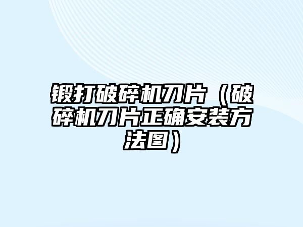 鍛打破碎機刀片（破碎機刀片正確安裝方法圖）