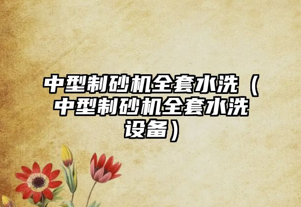 中型制砂機全套水洗（中型制砂機全套水洗設備）