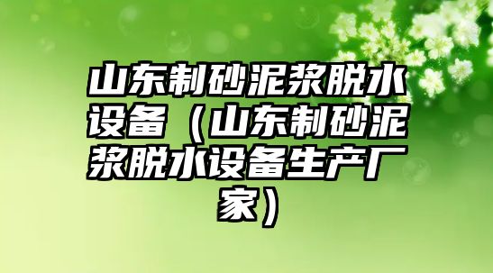 山東制砂泥漿脫水設(shè)備（山東制砂泥漿脫水設(shè)備生產(chǎn)廠家）