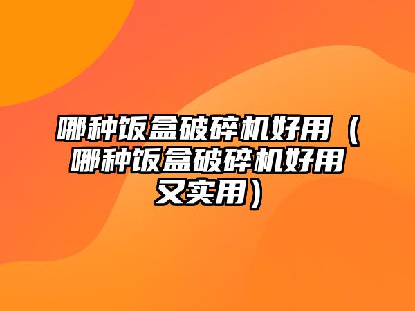 哪種飯盒破碎機好用（哪種飯盒破碎機好用又實用）