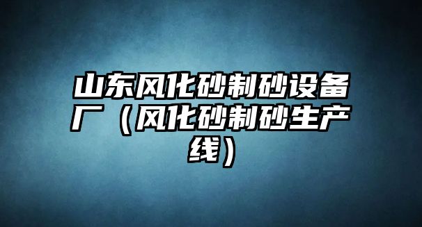 山東風(fēng)化砂制砂設(shè)備廠（風(fēng)化砂制砂生產(chǎn)線）