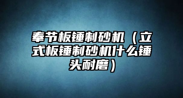 奉節板錘制砂機（立式板錘制砂機什么錘頭耐磨）