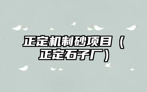 正定機(jī)制砂項目（正定石子廠）