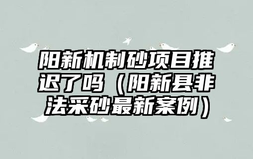 陽新機制砂項目推遲了嗎（陽新縣非法采砂最新案例）