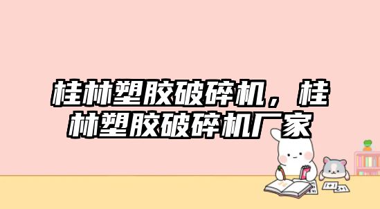 桂林塑膠破碎機，桂林塑膠破碎機廠家