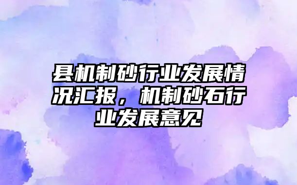 縣機制砂行業發展情況匯報，機制砂石行業發展意見