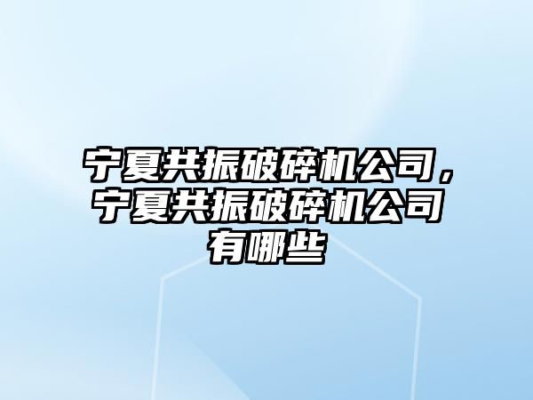 寧夏共振破碎機公司，寧夏共振破碎機公司有哪些