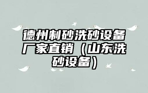 德州制砂洗砂設(shè)備廠家直銷(xiāo)（山東洗砂設(shè)備）