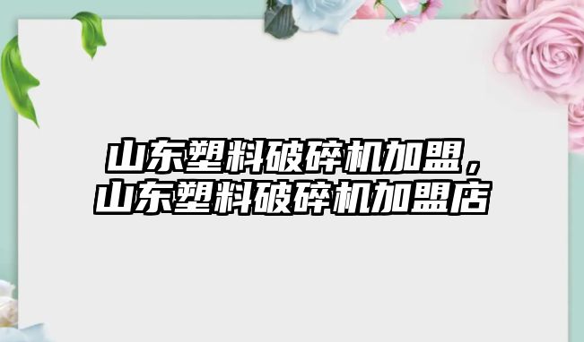 山東塑料破碎機加盟，山東塑料破碎機加盟店