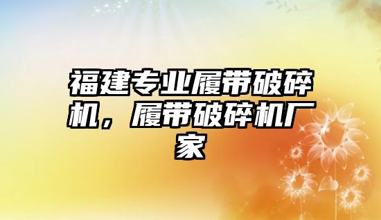 福建專業履帶破碎機，履帶破碎機廠家