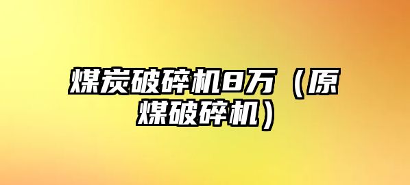 煤炭破碎機8萬（原煤破碎機）