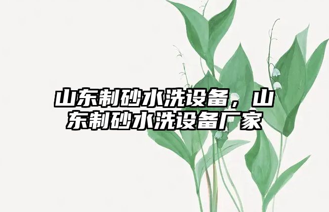 山東制砂水洗設(shè)備，山東制砂水洗設(shè)備廠家