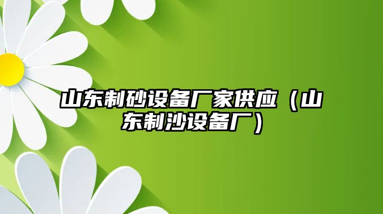 山東制砂設備廠家供應（山東制沙設備廠）