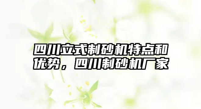 四川立式制砂機特點和優勢，四川制砂機廠家