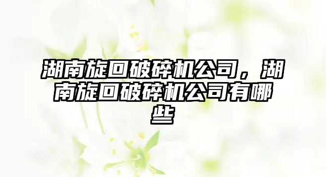 湖南旋回破碎機公司，湖南旋回破碎機公司有哪些