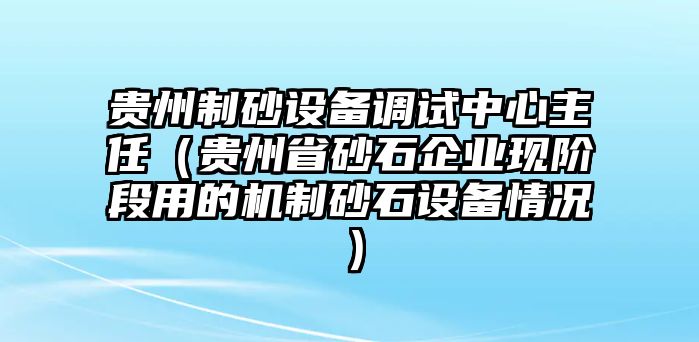 貴州制砂設備調試中心主任（貴州省砂石企業現階段用的機制砂石設備情況）