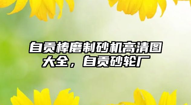 自貢棒磨制砂機高清圖大全，自貢砂輪廠