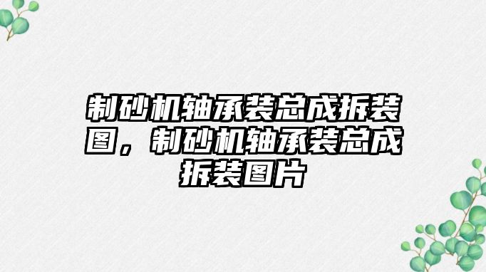 制砂機軸承裝總成拆裝圖，制砂機軸承裝總成拆裝圖片