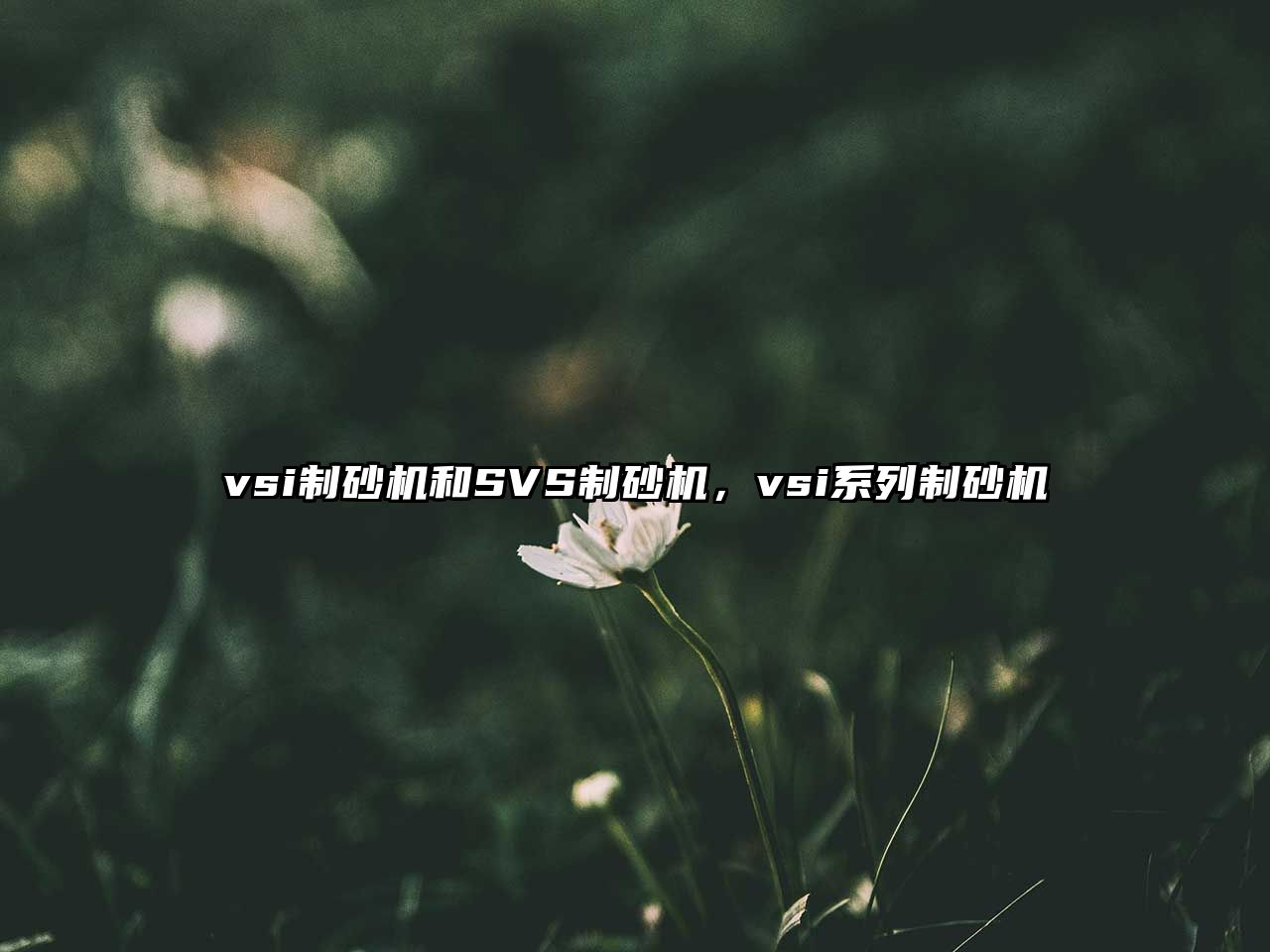 vsi制砂機和SVS制砂機，vsi系列制砂機