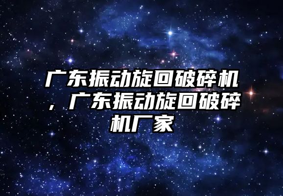 廣東振動旋回破碎機，廣東振動旋回破碎機廠家