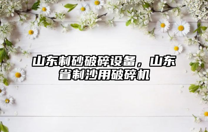 山東制砂破碎設備，山東省制沙用破碎機