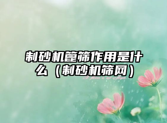 制砂機篦篩作用是什么（制砂機篩網）