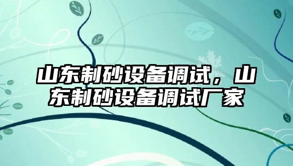 山東制砂設備調試，山東制砂設備調試廠家