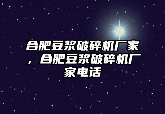 合肥豆漿破碎機廠家，合肥豆漿破碎機廠家電話