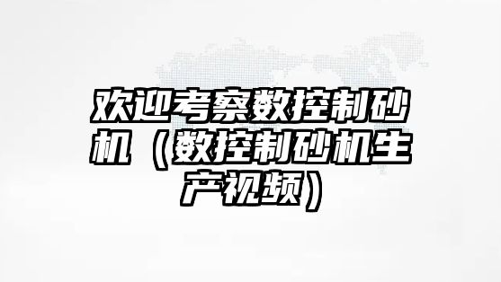 歡迎考察數控制砂機（數控制砂機生產視頻）