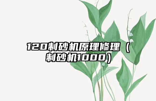 120制砂機原理修理（制砂機1000）