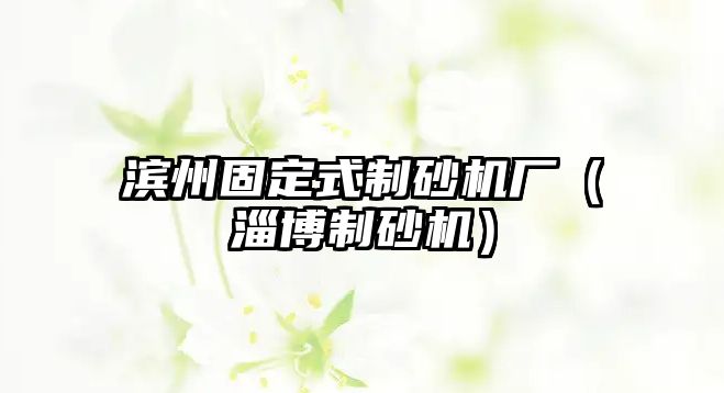 濱州固定式制砂機廠（淄博制砂機）