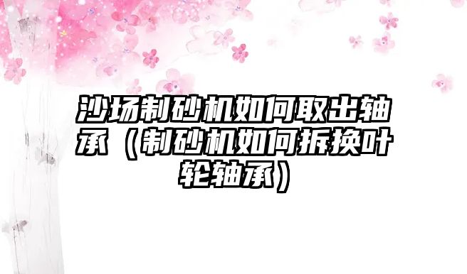 沙場制砂機如何取出軸承（制砂機如何拆換葉輪軸承）