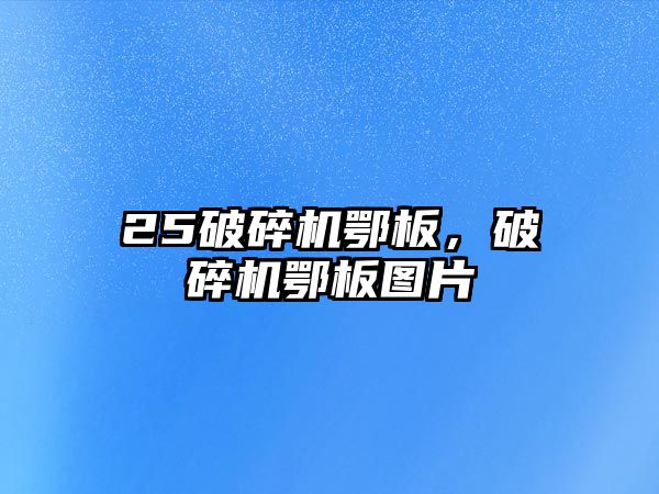 25破碎機鄂板，破碎機鄂板圖片