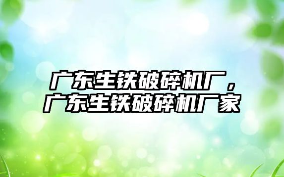 廣東生鐵破碎機廠，廣東生鐵破碎機廠家