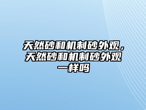 天然砂和機制砂外觀，天然砂和機制砂外觀一樣嗎