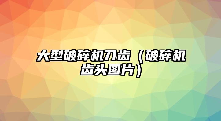 大型破碎機刀齒（破碎機齒頭圖片）