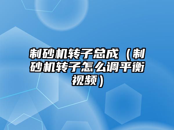 制砂機轉子總成（制砂機轉子怎么調平衡視頻）