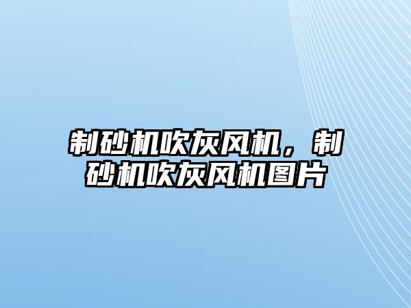 制砂機(jī)吹灰風(fēng)機(jī)，制砂機(jī)吹灰風(fēng)機(jī)圖片