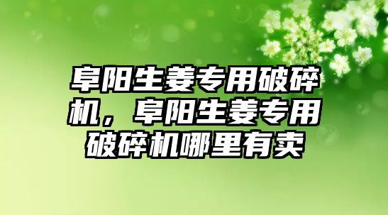 阜陽生姜專用破碎機，阜陽生姜專用破碎機哪里有賣