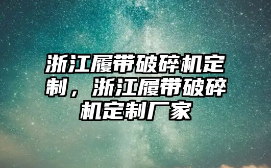 浙江履帶破碎機(jī)定制，浙江履帶破碎機(jī)定制廠家